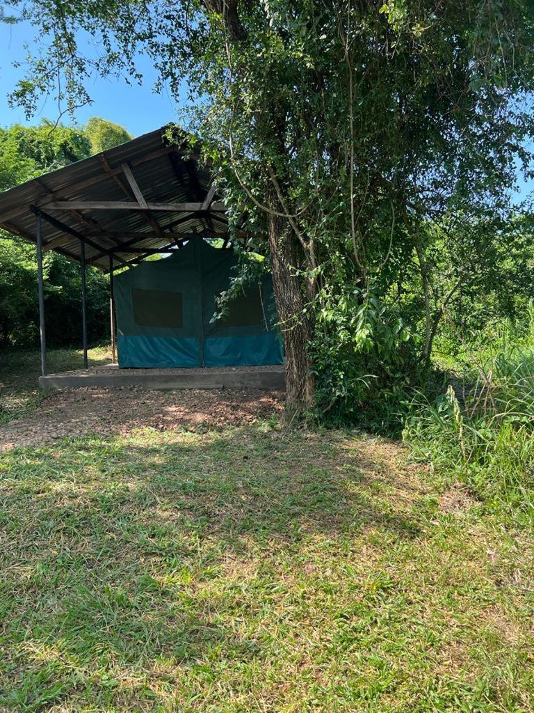 Murchison Giraffe Camp Paraa Esterno foto